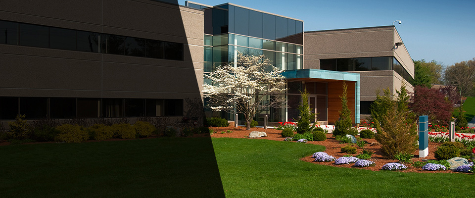 Clare Landscapers