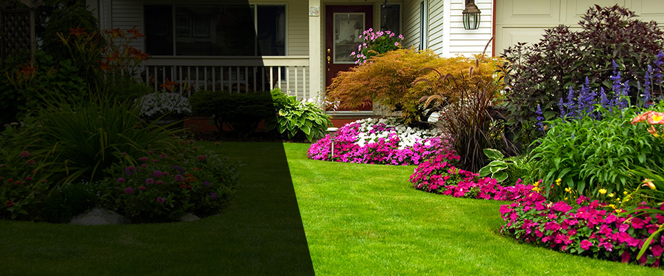 Clare Landscapers