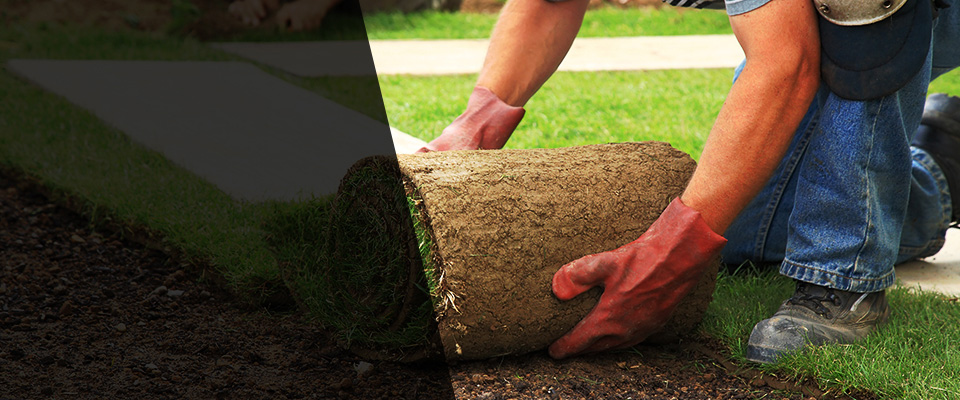 Clare Landscapers